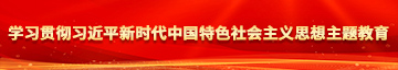 小骚逼免费看学习贯彻习近平新时代中国特色社会主义思想主题教育